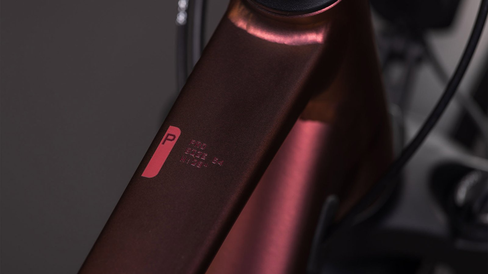 Cube Kathmandu Pro sunglow´n´prizm – Bild 7