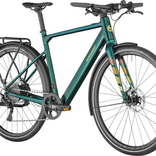 Bergamont E-Sweep Tour Matt Dark Green
