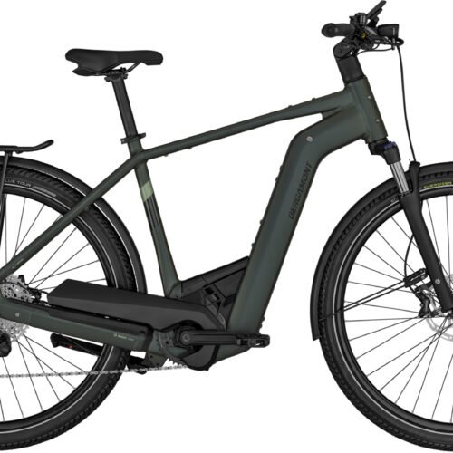 Bergamont E-Horizon Expert 6 Gent matt Greenish Grey